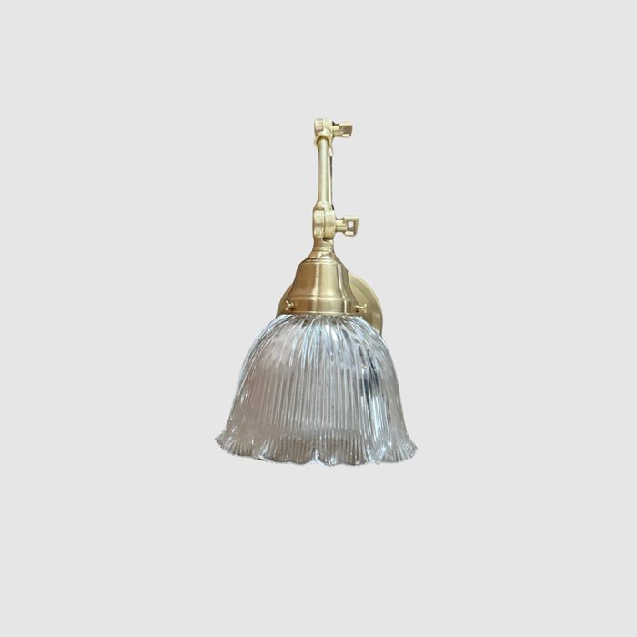 Articulating Holophane Library Sconce