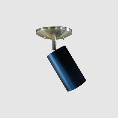 Adjustable Can Flush Mount Light - Pepe & Carols